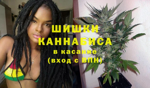 спиды Богородск